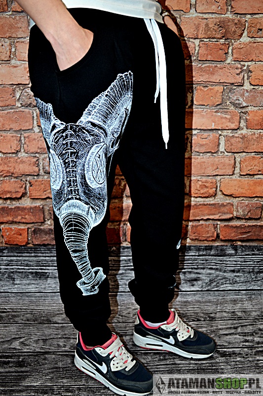 You are currently viewing Super Spodnie Joggery Dresy idealne na&nbsp;okres zimowy! Tylko&nbsp;w&nbsp;AtamanShop.pl!