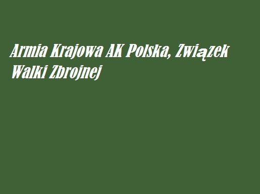 You are currently viewing Armia Krajowa AK Polska, Związek Walki Zbrojnej | AtamanShop.pl