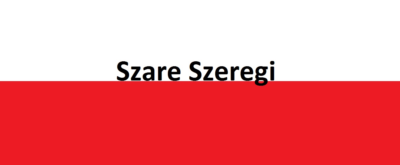 You are currently viewing Co&nbsp;to&nbsp;były Szare Szeregi?   | AtamanShop.pl