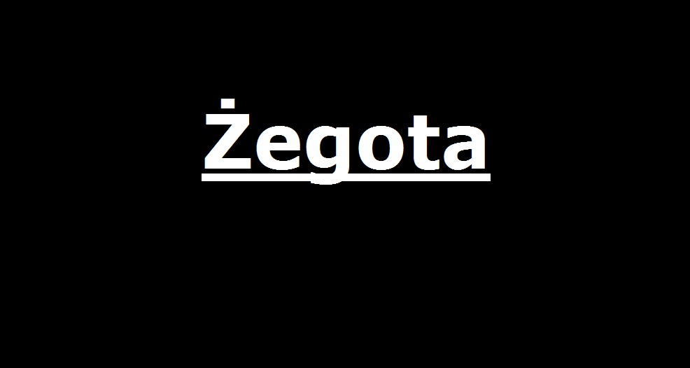 You are currently viewing Żegota . . . | AtamanShop.pl