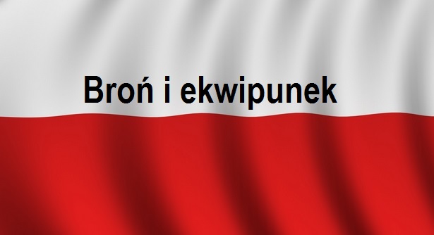 You are currently viewing Broń i&nbsp;ekwipunek w&nbsp;walce o&nbsp;Lwów i&nbsp;Galicję | Blog Historyczny