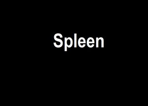 Read more about the article Spleen – Muzyka | Blog Muzyczny