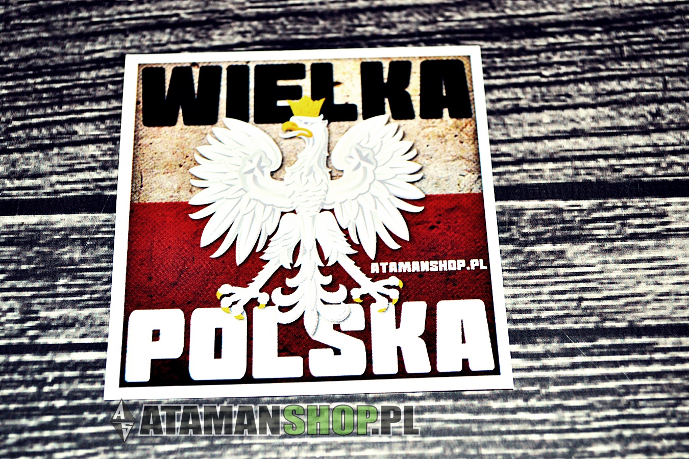 You are currently viewing Dywizjon 303 czyli Polska chluba Polskich Sił Powietrznych im.&nbsp;Tadeusza Kościuszki | Blog Historyczny