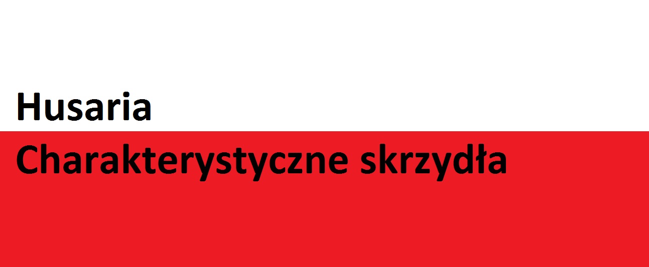 You are currently viewing Husaria – Charakterystyczne skrzydła | Blog Historyczny